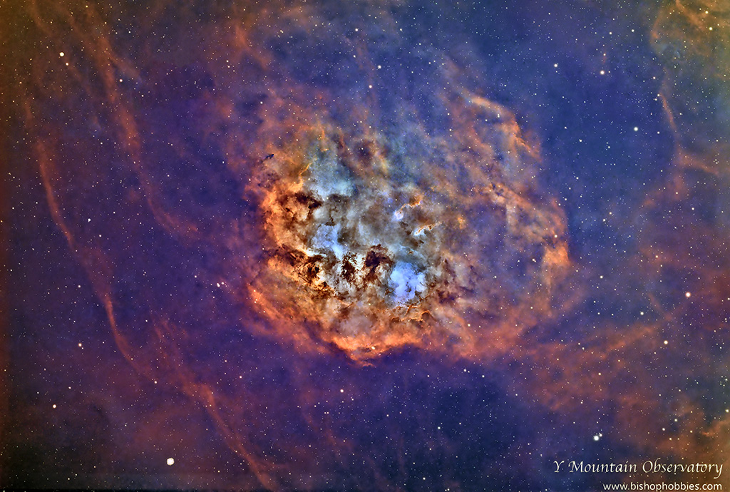 IC 410 – Tadpoles Nebula